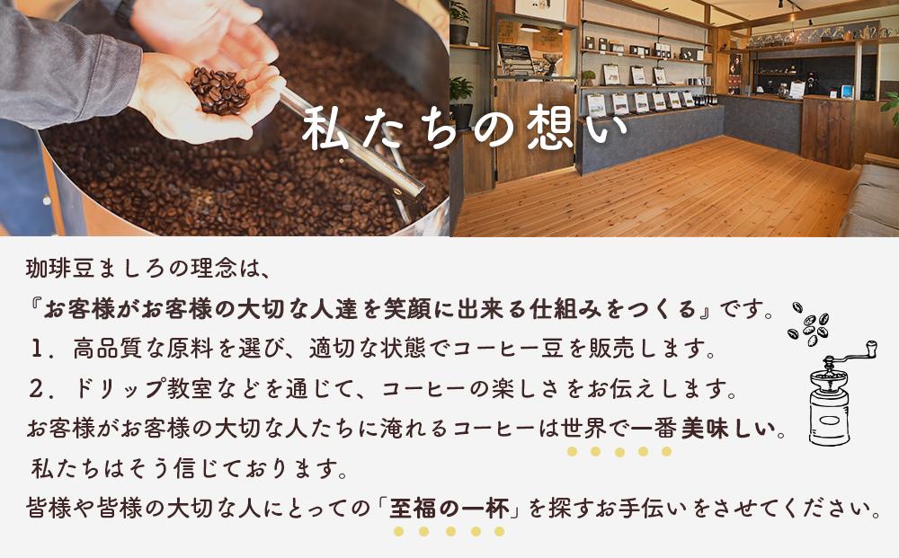 【向島の珈琲豆焙煎所】スペシャルティコーヒー詰め合わせ１【コーヒー 珈琲 COFFEE 焙煎 自家焙煎 本格的 美味しい おしゃれ コーヒー豆 ギフト 贈り物 詰め合わせ スペシャルティコーヒー ご当地 広島県 尾道市 向島】