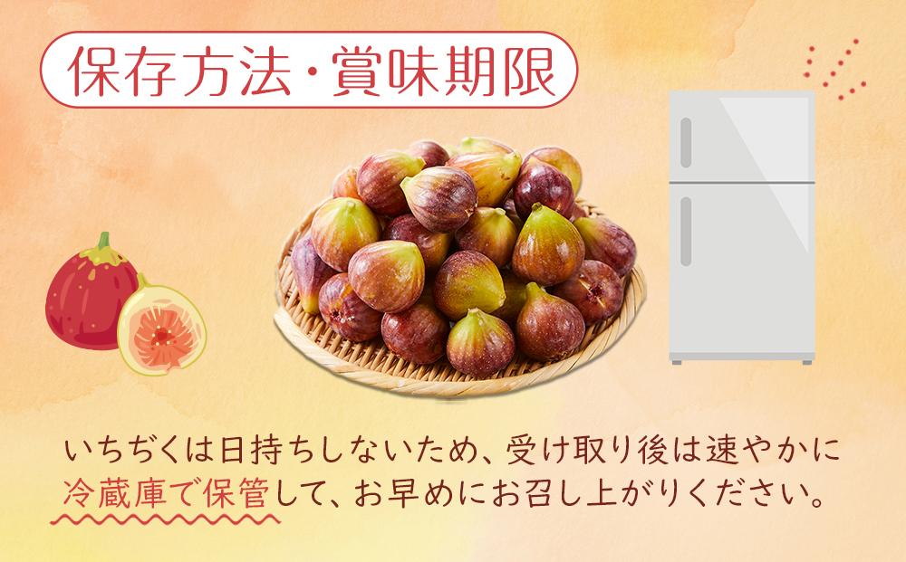 【先行予約】【尾道特産・秋の味覚！しまのいちぢく】瀬戸内・因島の蓬莱柿（ほうらいし）約320g×4パック【9月より配送】【無花果 いちぢく 果物 くだもの 期間限定 尾道 瀬戸内 因島 お取り寄せ グルメ 人気 おすすめ 広島】