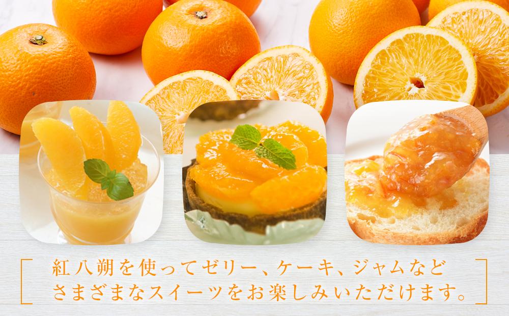しまの八朔セット約8kg（Mサイズ程度　約30個　紅八朔と八朔）＜2026年1月下旬から発送＞【フルーツ 果物 くだもの 食品 人気 おすすめ】