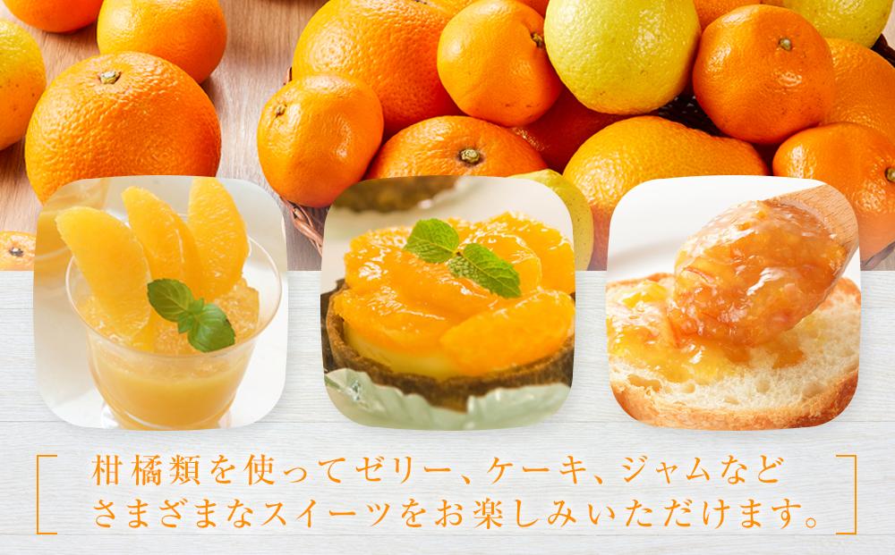 季節の柑橘セット約5kg ＜2026年1月下旬から発送＞【フルーツ 果物 くだもの 食品 人気 おすすめ】