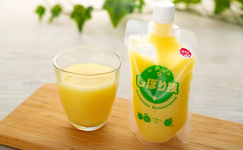 そのまんま100％柑橘ジュース詰合せ10本セット