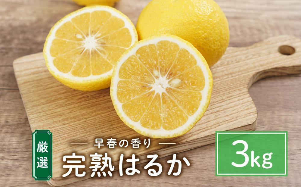 ★まるごと尾道定期便 C★【1月～12月まで毎月発送】