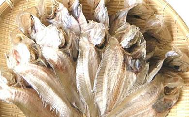 【中25尾】尾道名物 でべら【干物 魚介類 魚介 海鮮 海の幸 食品 食べ物 ご当地 お取り寄せ 取り寄せ 名産 特産】