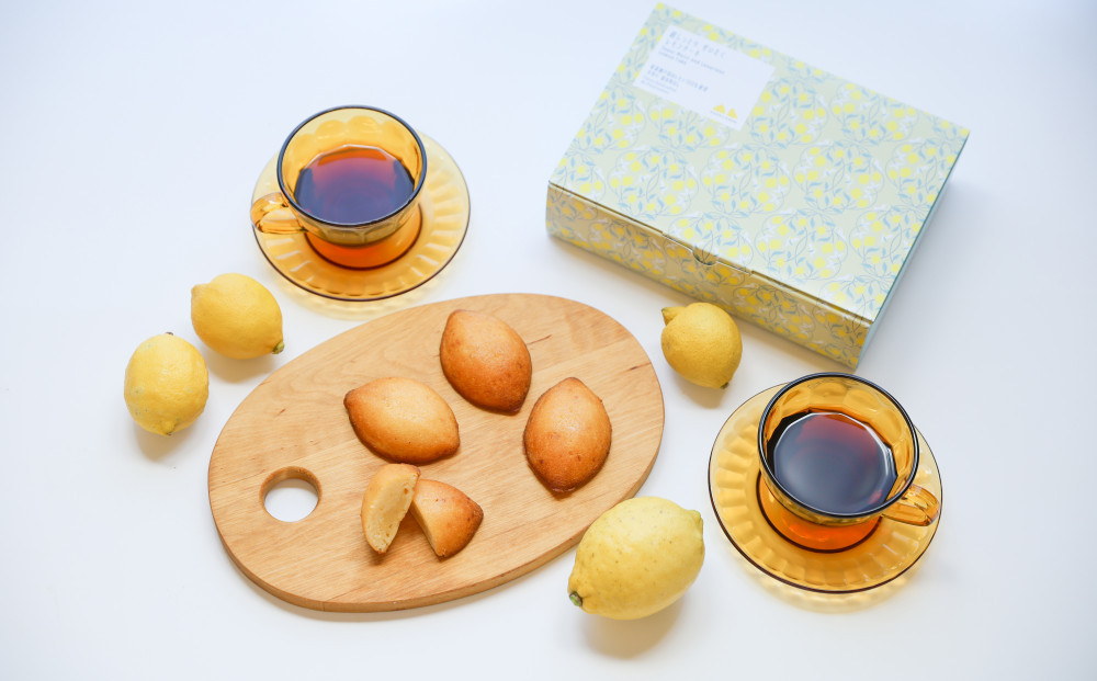 超しっとり！ぜいたくレモンケーキ 12個（6個×2箱）【菓子 おかし 檸檬 柑橘 果物 フルーツ 焼き菓子 スイーツ デザート ギフト 贈答 食品 人気 おすすめ 広島県 尾道市】