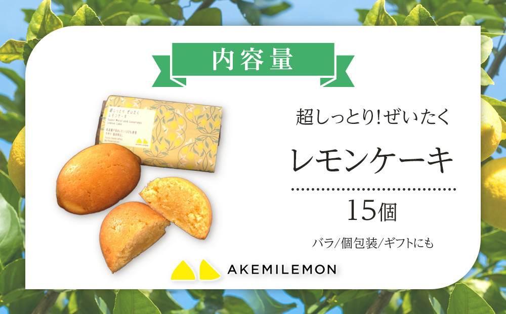 お菓子　レモンケーキ15個（バラ） ギフト 個包装 スイーツ ケーキ  焼き菓子