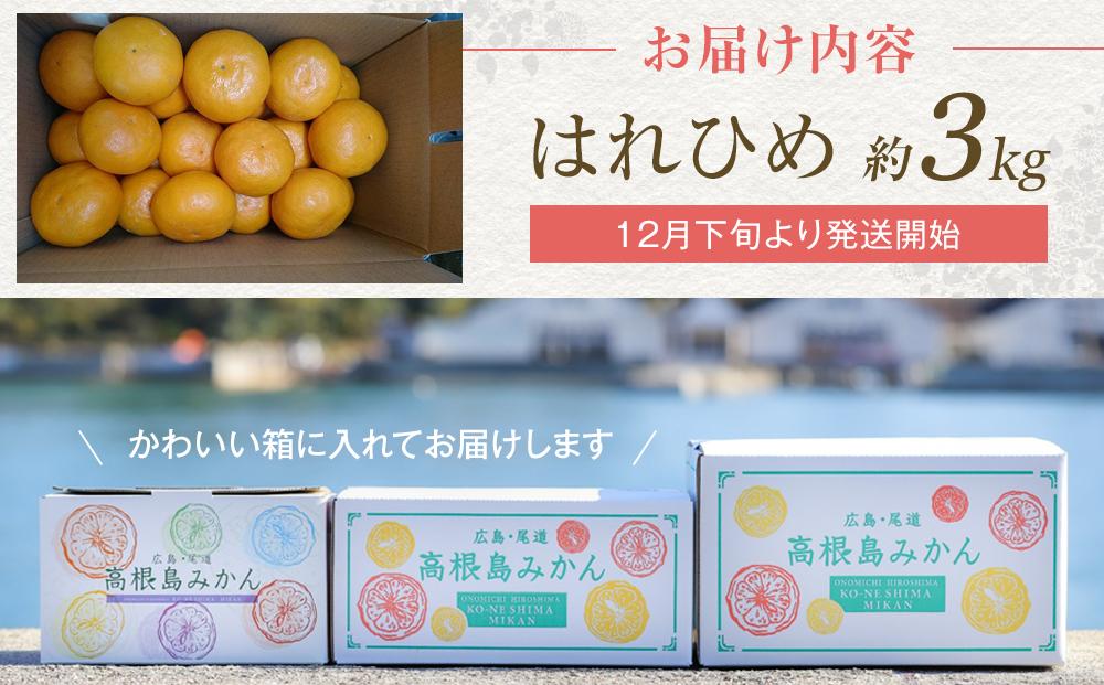 爽やかな香り！！ はれひめ ３ｋｇ　＜2025年12月下旬より発送開始＞【みかん 蜜柑 フルーツ 果物 青果 柑橘 尾道市】