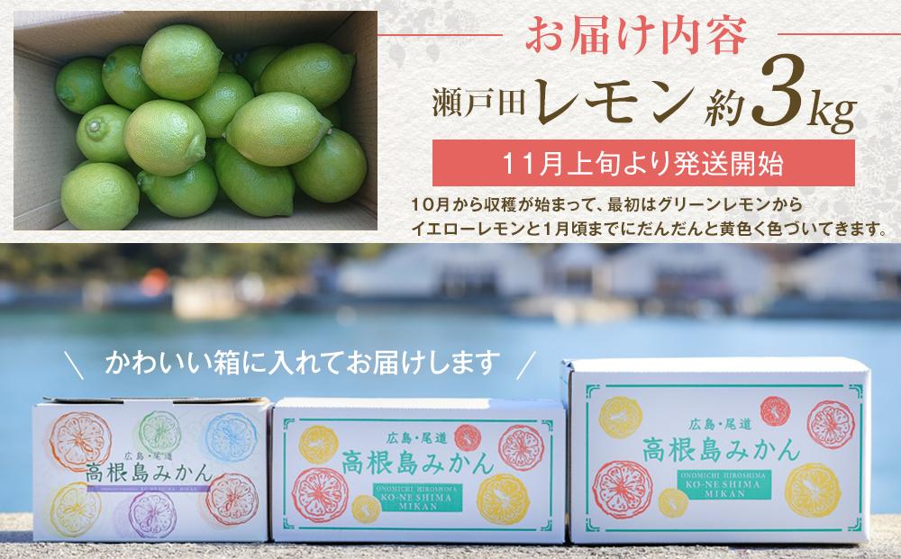 瀬戸田レモン3ｋｇ　＜2025年11月上旬より発送開始＞【レモン れもん フルーツ 果物 青果 柑橘  瀬戸田レモン 国産 有機 お取り寄せグルメ 尾道市】