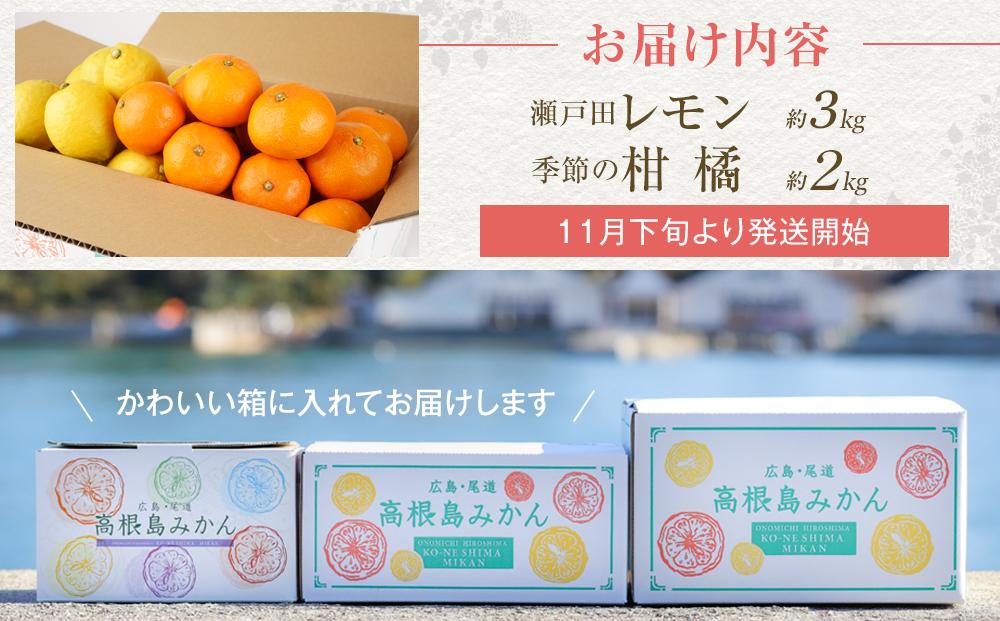 瀬戸田レモン3ｋｇと季節の柑橘2ｋｇ＜2025年11月下旬より発送開始＞【みかん レモン 檸檬  果物 フルーツ 詰め合わせ セット 人気 おすすめ 瀬戸内 広島県  尾道市】