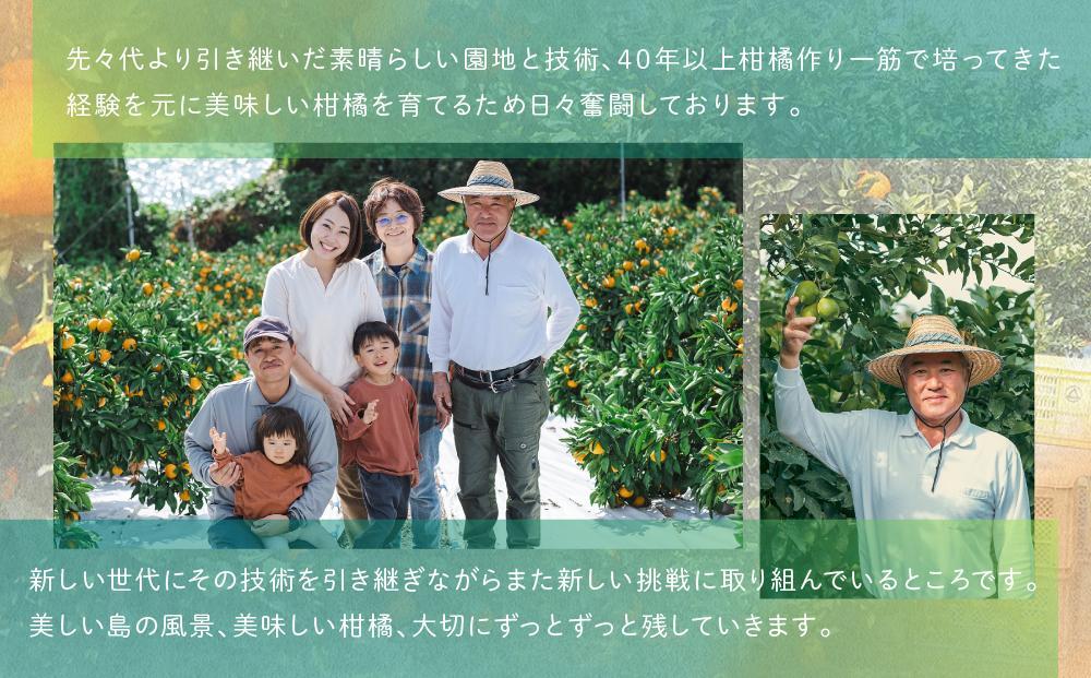 旬の柑橘詰め合わせ（約3kg）2026年3月上旬〜発送予定【みかん せとか しらぬい はるか 柑橘 果物 フルーツ 産地直送 人気 おすすめ 瀬戸内 広島県  尾道市】