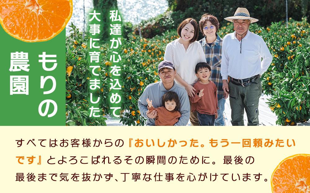 とろけるような完熟ハウスみかん2.5キロ＜7月1日～順次発送＞ドルチェみかん フルーツ 柑橘 果物 産直