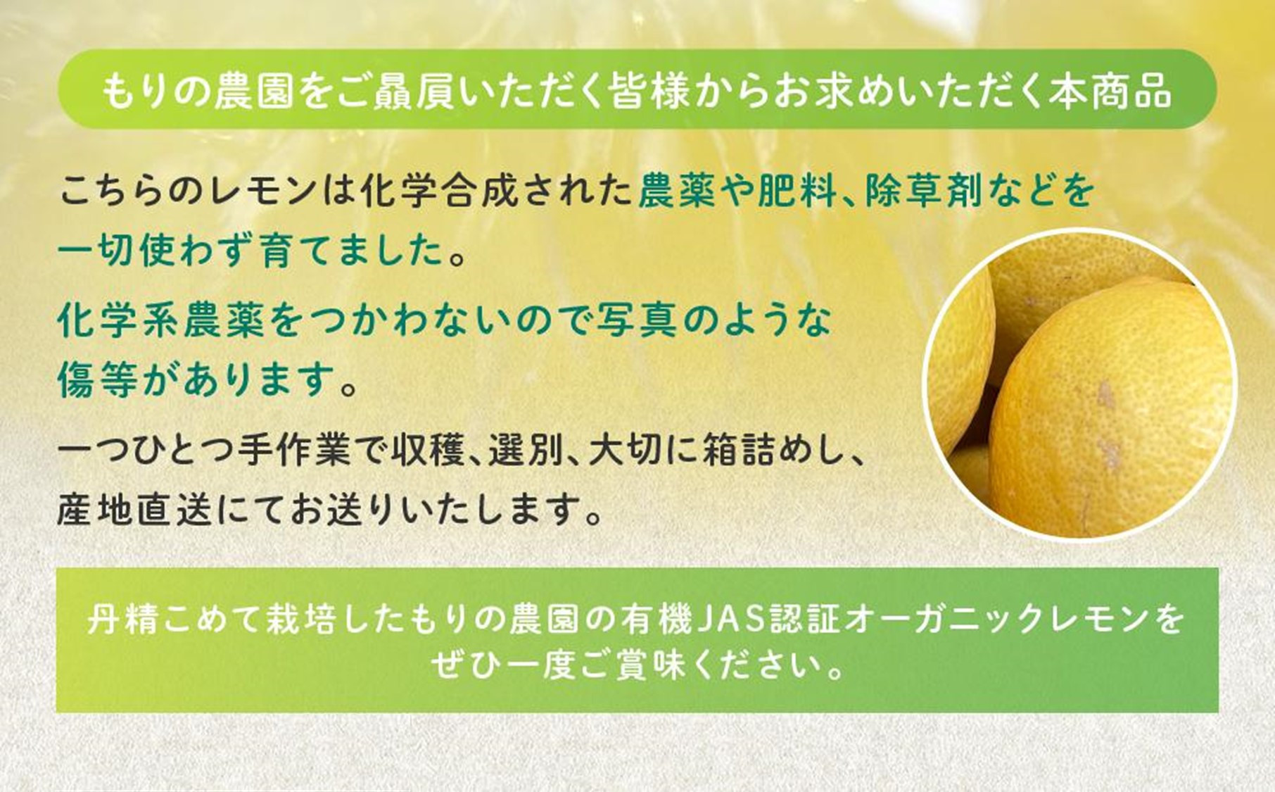【有機JAS認証】レモン島からお贈りするオーガニックレモン 8kg 有機レモン 2026年2月以降発送予定 産直 国産 有機栽培