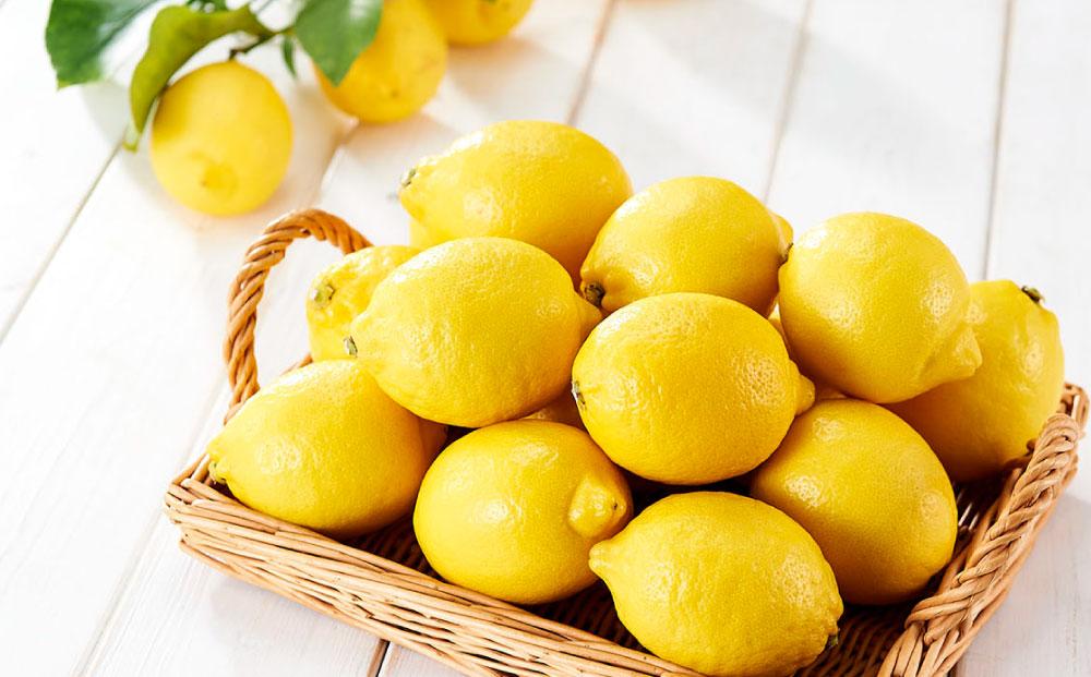 レモン島から贈る安心の国産レモン３kg 産地直送 フルーツ ワックス 防腐剤、防かび剤不使用＜1月15日〜発送予定 もりの農園＞【瀬戸田 瀬戸田レモン 産地直送 フルーツ 檸檬 ノーワックス 防腐剤 防かび剤不使用】