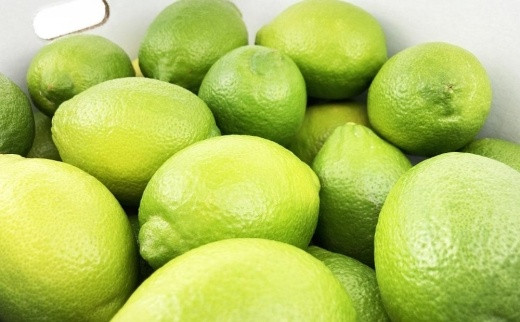 【レモン島から贈る】安心の国産グリーンレモン10kg 2025年10月下旬より発送予定