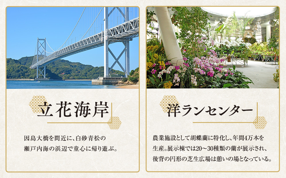 尾道観光大いに満喫コース4時間