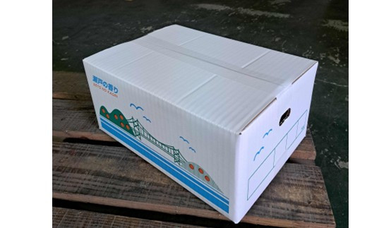 しまなみはっさく  家庭用八朔 5kg（尾道市因島・生口島産）【2026年2月上旬から発送】