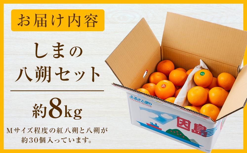 しまの八朔セット約8kg（Mサイズ程度　約30個　紅八朔と八朔）＜2026年1月下旬から発送＞【フルーツ 果物 くだもの 食品 人気 おすすめ】