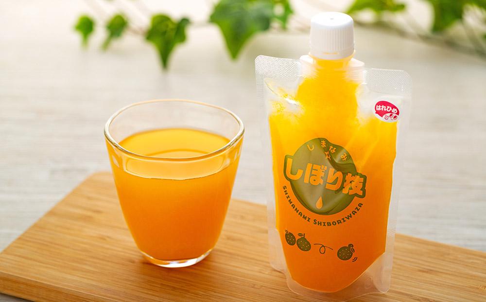 そのまんま100％柑橘ジュース詰合せ10本セット