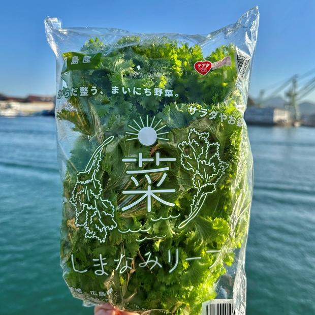 しまなみリーフ8袋　（1袋140ｇＸ8袋）2025年11月下旬から発送【野菜 サラダ 無農薬 やさい 食品 人気 おすすめ 尾道 因島】
