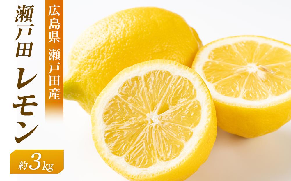 瀬戸田レモン3ｋｇ　＜2025年11月上旬より発送開始＞【レモン れもん フルーツ 果物 青果 柑橘  瀬戸田レモン 国産 有機 お取り寄せグルメ 尾道市】