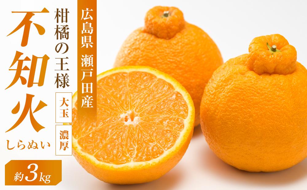 柑橘の王様　大玉・濃厚な不知火（しらぬい）3ｋｇ　＜2026年3月中旬より発送開始＞【みかん 人気 瀬戸田 広島県尾道市】