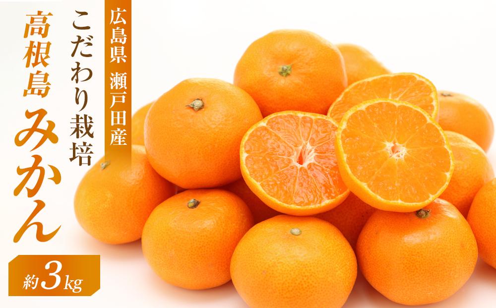 こだわり栽培　高根島みかん 3kg ＜2025年11月下旬より発送開始＞【広島県尾道市 瀬戸田　柑橘 フルーツ 果物】