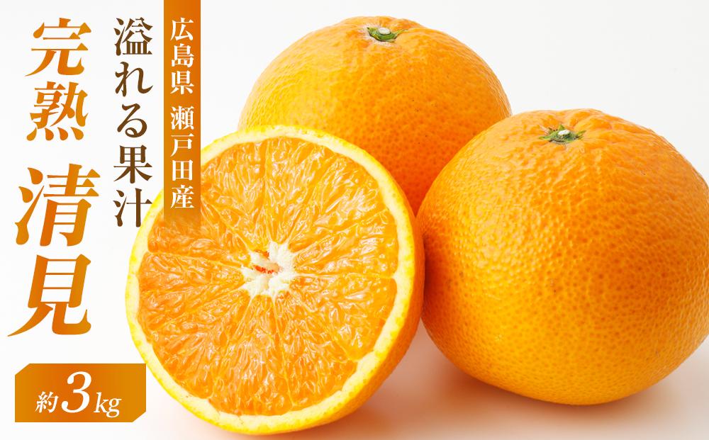めっちゃジューシー　完熟清見3ｋｇ　＜2026年3月下旬より発送開始＞【ミカン みかん 蜜柑 フルーツ 果物 完熟 青果 柑橘 尾道市】