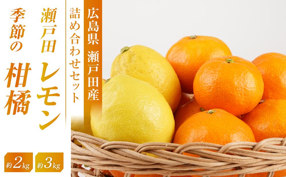 瀬戸田レモン3ｋｇと季節の柑橘2ｋｇ＜2025年11月下旬より発送開始＞【みかん レモン 檸檬  果物 フルーツ 詰め合わせ セット 人気 おすすめ 瀬戸内 広島県  尾道市】