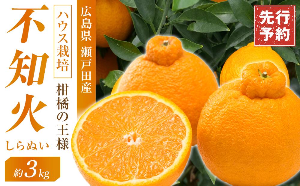 ☆先行 予約 ハウス栽培 しらぬい 3kg【2025年3月～発送開始】【みかん 不知火 柑橘 果物 フルーツ 産地直送 人気 おすすめ 瀬戸内 広島県  尾道市】