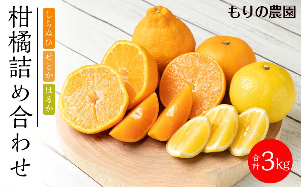 旬の柑橘詰め合わせ（約3kg）2026年3月上旬〜発送予定【みかん せとか しらぬい はるか 柑橘 果物 フルーツ 産地直送 人気 おすすめ 瀬戸内 広島県  尾道市】