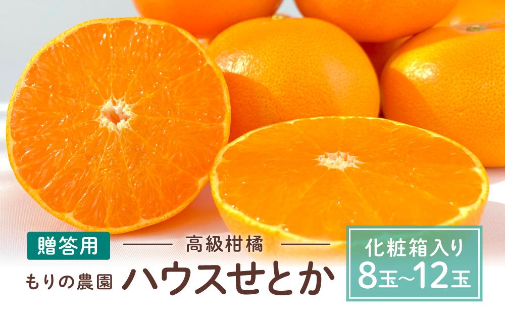 高級柑橘 贈答用ハウスせとか化粧箱8玉～12玉 2026年2月中旬～発送予定