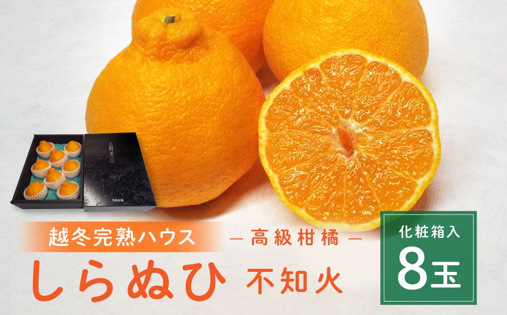 高級柑橘 贈答用 越冬完熟ハウスしらぬひ（不知火）化粧箱8玉