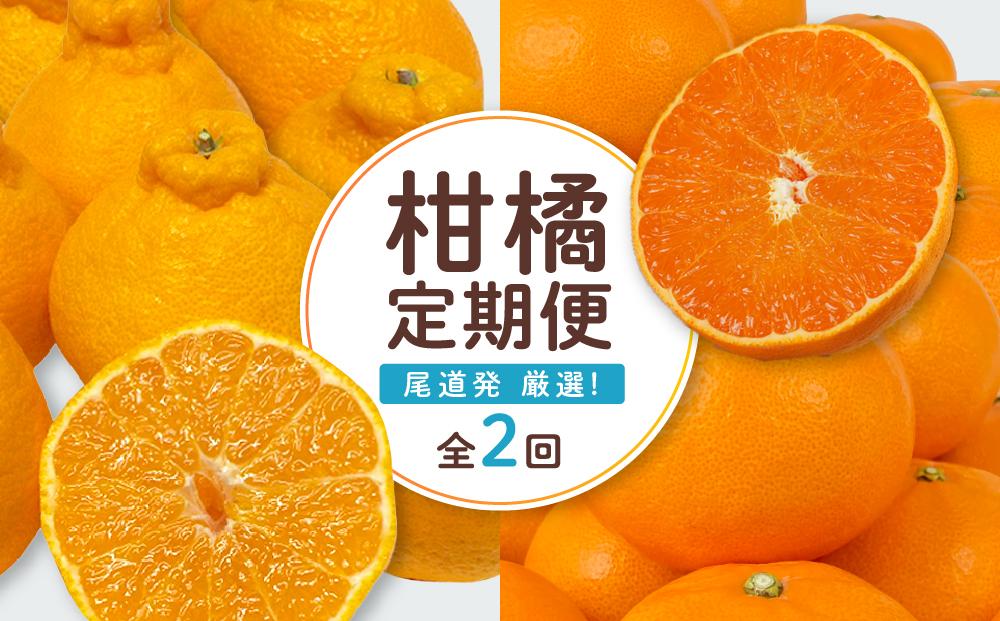 尾道発 厳選！柑橘定期便（全2回）【せとか しらぬい 果物 フルーツ 人気 おすすめ 瀬戸内 広島県  尾道市】