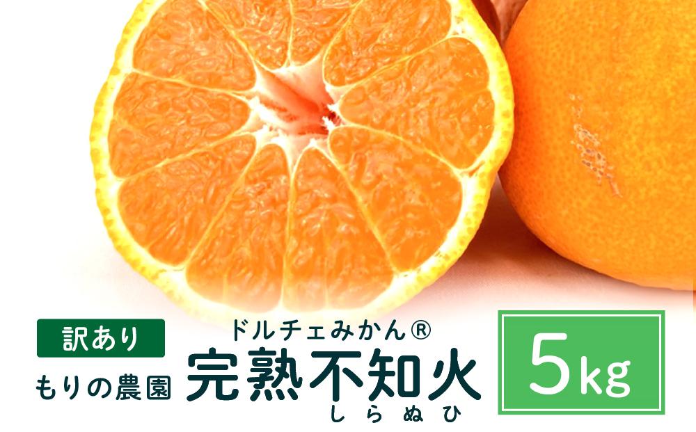 【訳あり】もりの農園 完熟しらぬひ（不知火）  5kg【しらぬい 果物 フルーツ 人気 おすすめ 瀬戸内 広島県  尾道市】