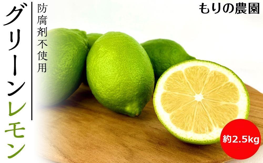 【レモン島から贈る】安心の国産グリーンレモン2.5kg 2025年10月下旬より発送予定【フルーツ 果物 くだもの 食品 人気 おすすめ】