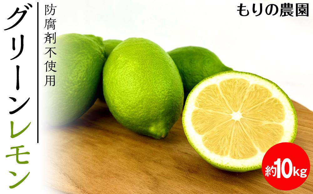 【レモン島から贈る】安心の国産グリーンレモン10kg 2025年10月下旬より発送予定