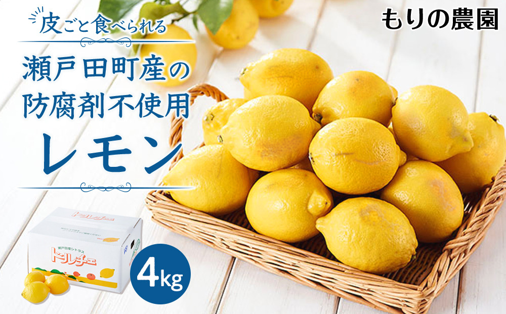 【レモン島から贈る】安心の国産レモン4kg 2026年1月15日より順次発送【瀬戸田 瀬戸田レモン 産地直送 フルーツ 檸檬 ノーワックス 防腐剤 防かび剤不使用】