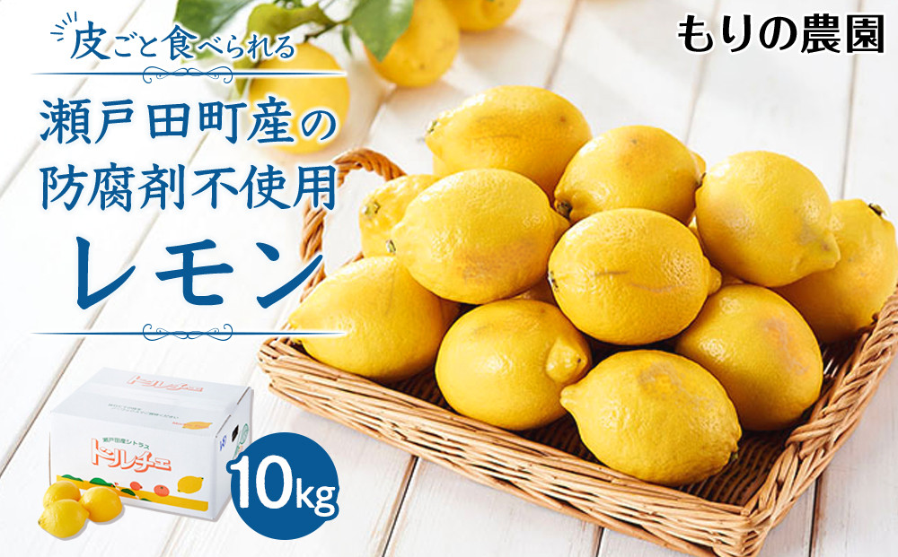 【レモン島から贈る】安心の国産レモン10kg 2026年1月15日より順次発送【瀬戸田 瀬戸田レモン 産地直送 フルーツ 檸檬 ノーワックス 防腐剤 防かび剤不使用】