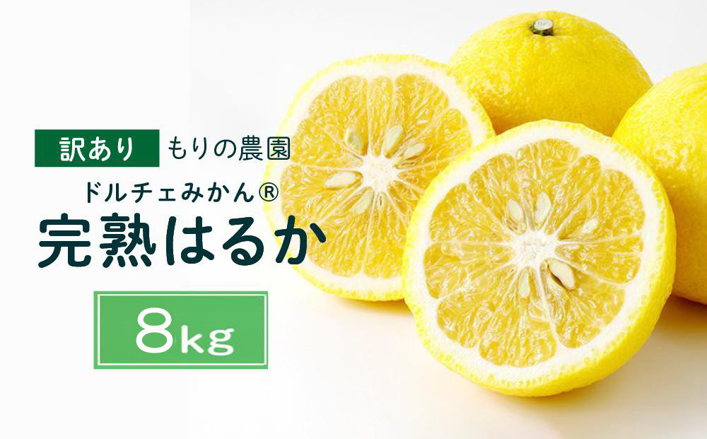 【訳あり】完熟はるか 8kg ドルチェみかん 2026年2月中旬より発送予定