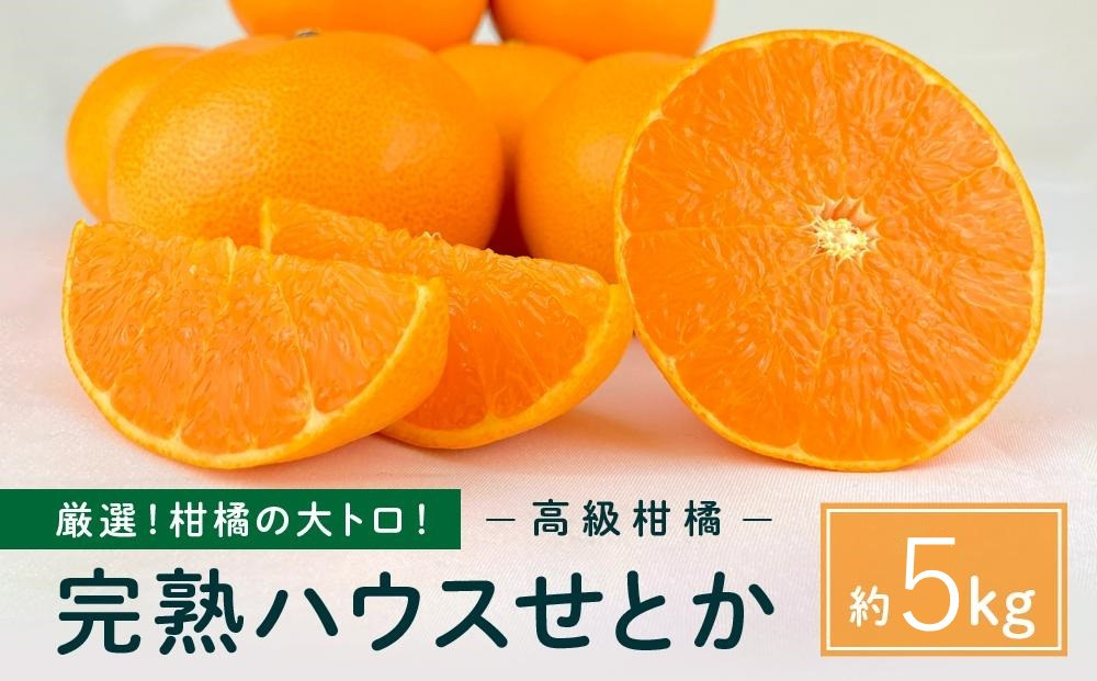 柑橘の大トロ！完熟ハウスせとか  5kg 2026年2月中旬～発送予定