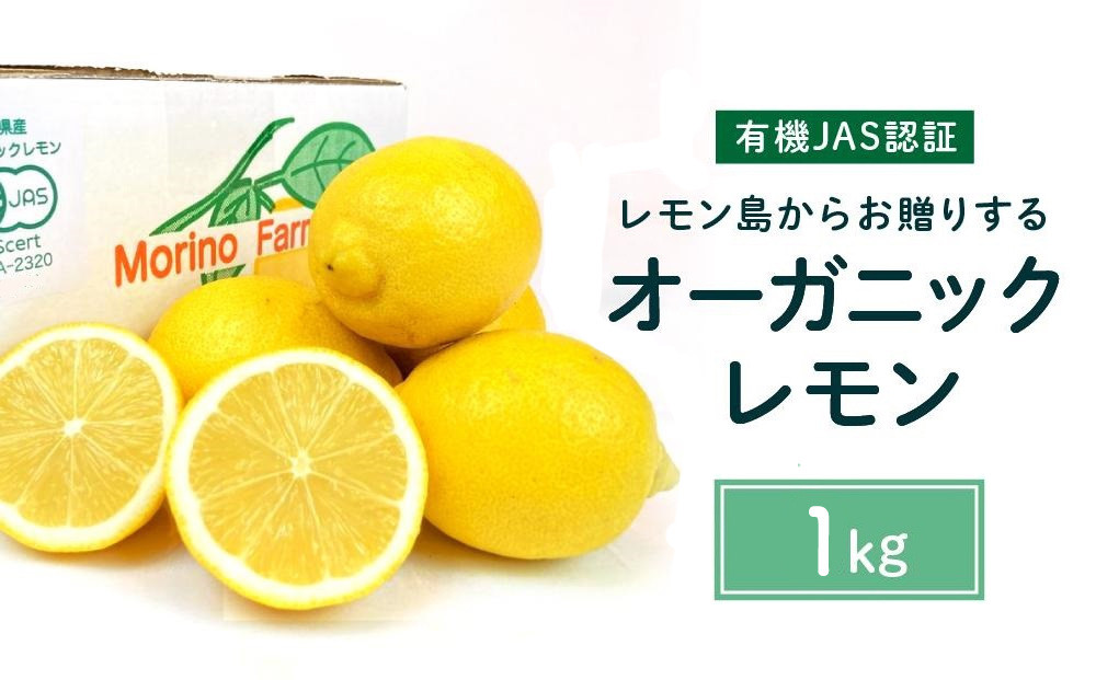 【有機JAS認証】レモン島からお贈りするオーガニックレモン 1kg 有機レモン 2026年2月以降発送予定 産直 国産 有機栽培