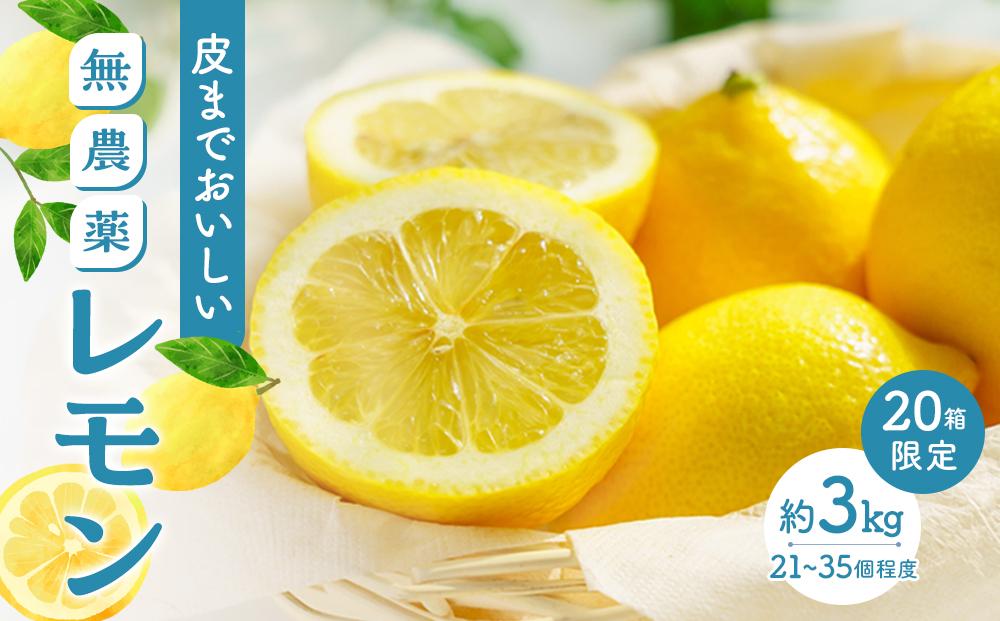 【20箱限定】皮まで美味しい無農薬レモン 約3kg【瀬戸田 瀬戸田レモン 檸檬 瀬戸内レモン フルーツ 柑橘 シトラス 無農薬 有機肥料 防腐剤不使用 レモネード はちみつ 尾道市 広島】