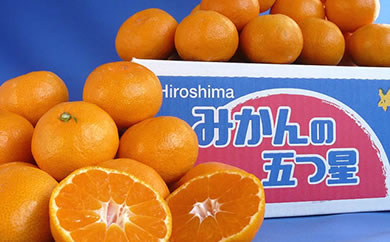 五つ星みかん５Ｋｇ箱入り【瀬戸田みかん 人気 果物 尾道市 広島県】