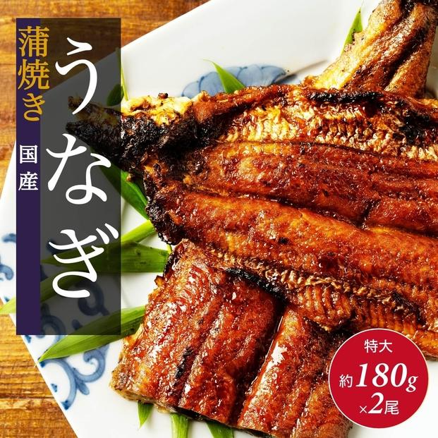 国産 うなぎの蒲焼き 特大 180g×2尾 タレ・山椒付［3-4人前］【鰻 魚介類 水産 かば焼き うな重 丑の日 食品 人気 おすすめ 広島県 尾道市】