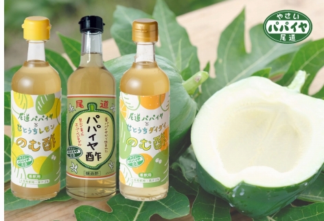 酵素たっぷり 尾道パパイヤ酢＆のむ酢 セット