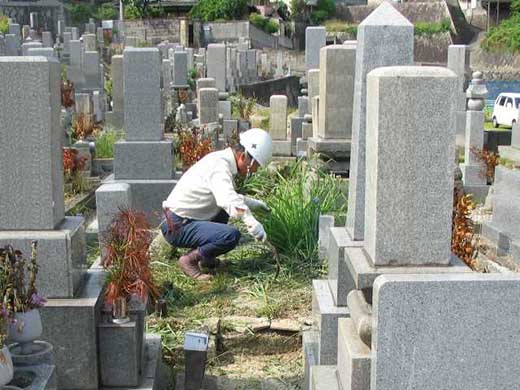 墓掃除　Bプラン【代行 墓掃除 清掃 除草 供花】