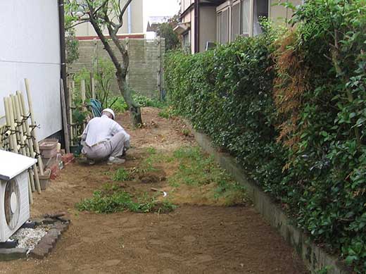 ★空家等の除草　Bプラン【代行 空家 清掃 除草】