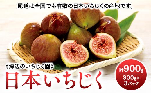 【期間限定】《海辺のいちじく園》日本いちじく  300g×3パック