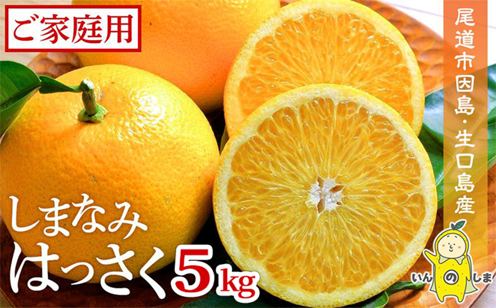 しまなみはっさく  家庭用八朔 5kg（尾道市因島・生口島産）【2026年2月上旬から発送】