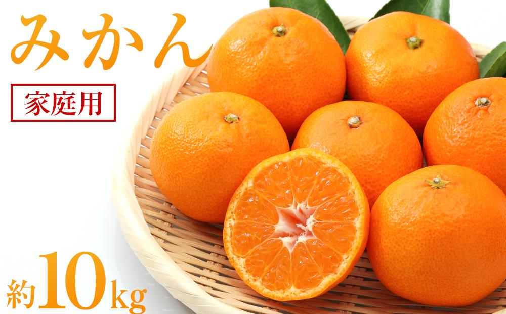 みかん 約10kg（家庭用）【2025年11月下旬から発送】【柑橘 フルーツ 果物 くだもの 食品 人気 おすすめ 広島県 尾道市】