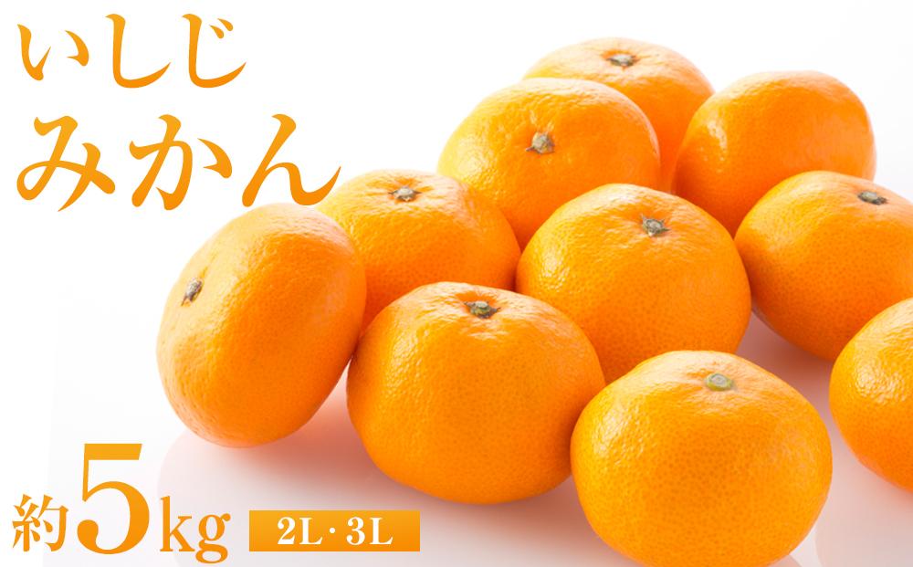 いしじみかん 約5kg（2L・3L）【2025年12月から発送】【柑橘 フルーツ 果物 くだもの 食品 人気 おすすめ 広島県 尾道市】